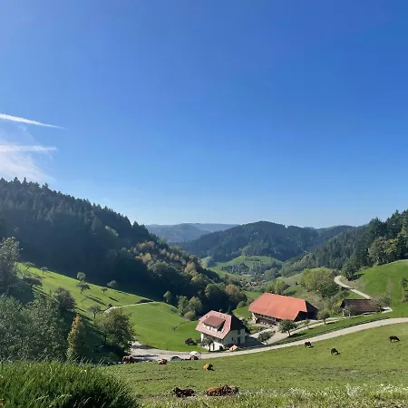 Schwarzwaldmadel *
