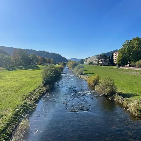 Schwarzwaldmadel